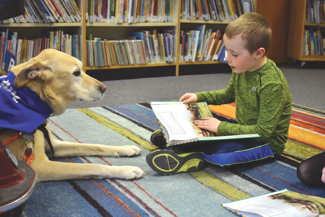 service dog for kids
